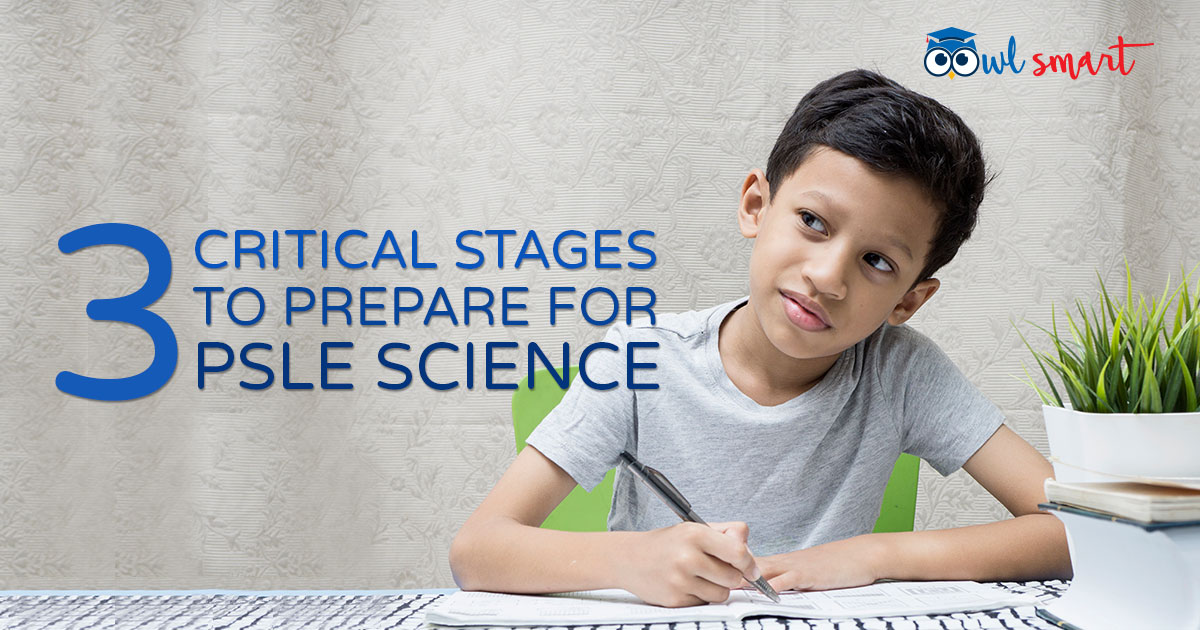 3 Critical Stages to Prepare for PSLE Science