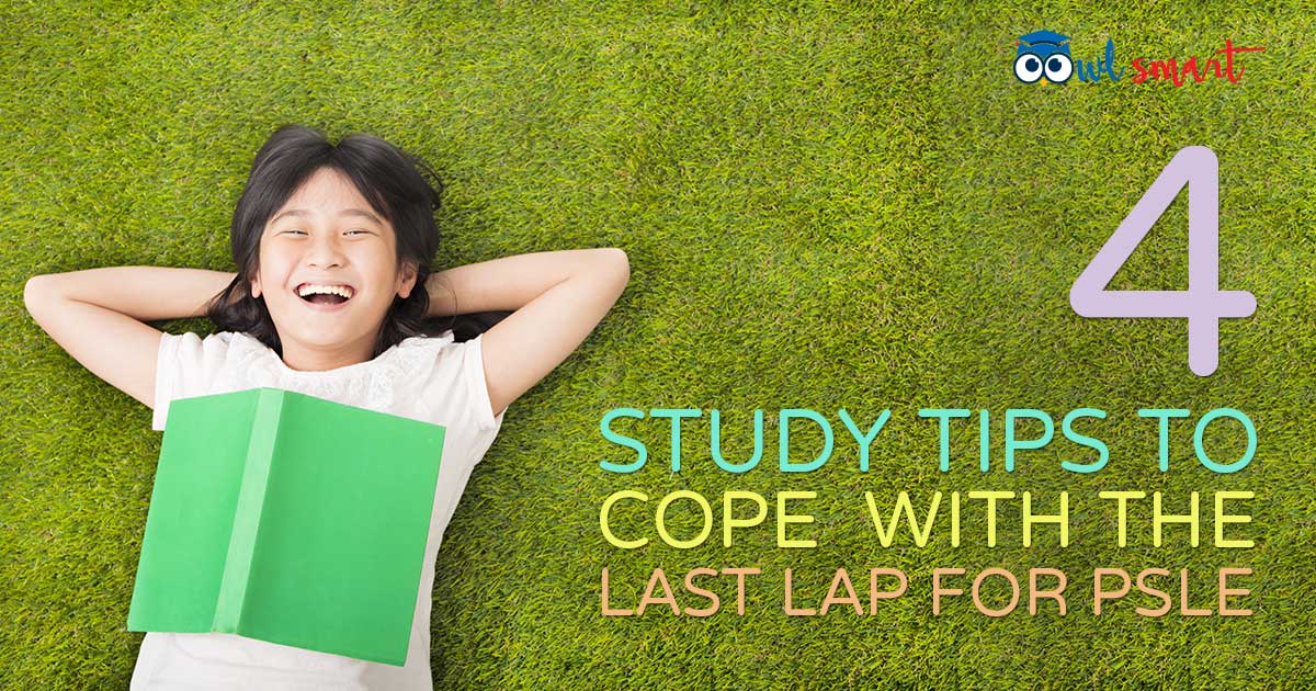 4 Study Tips to Cope with the Last Lap for PSLE