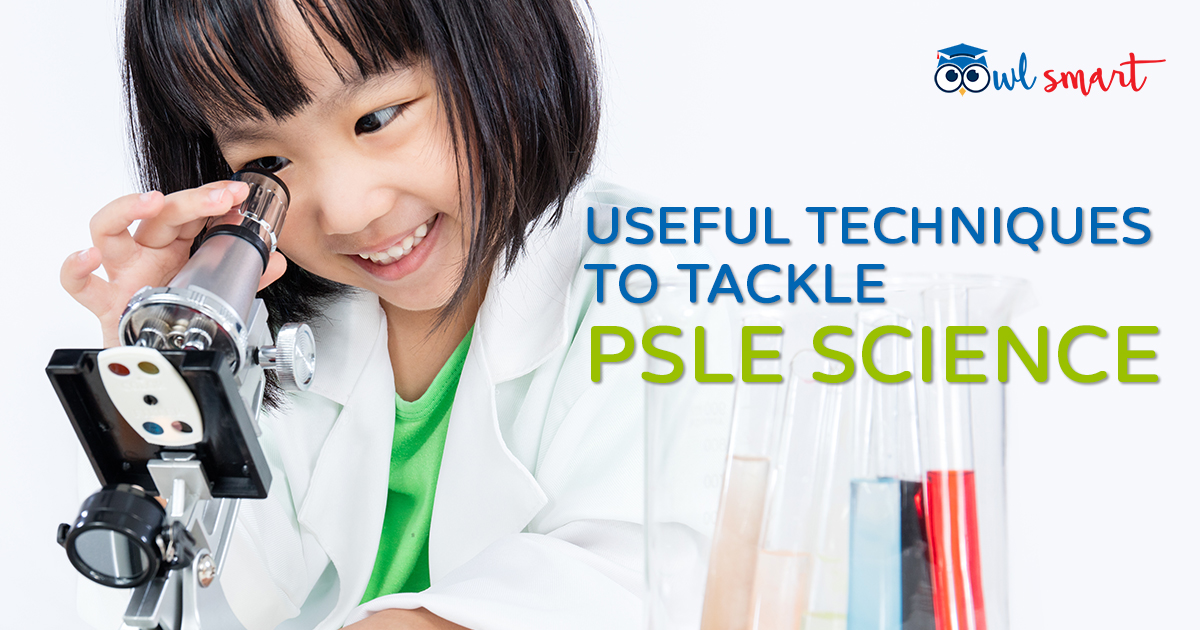 Useful Techniques to Tackle PSLE Science