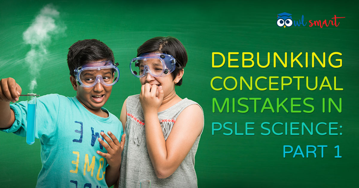 Debunking Conceptual Mistakes in PSLE Science Part 1