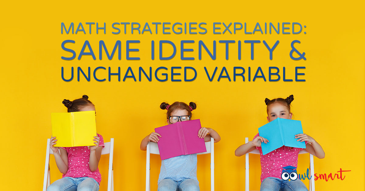 Math Strategies Explained Same Identity  Unchanged Variable