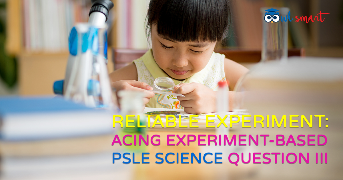Reliable Experiment Acing ExperimentBased PSLE Science Questions III
